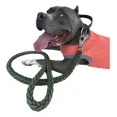 thumbnail image 1 of Correa Para Perro Grande/ Mediano Trenzada Resistente 120cm, 1 of 5