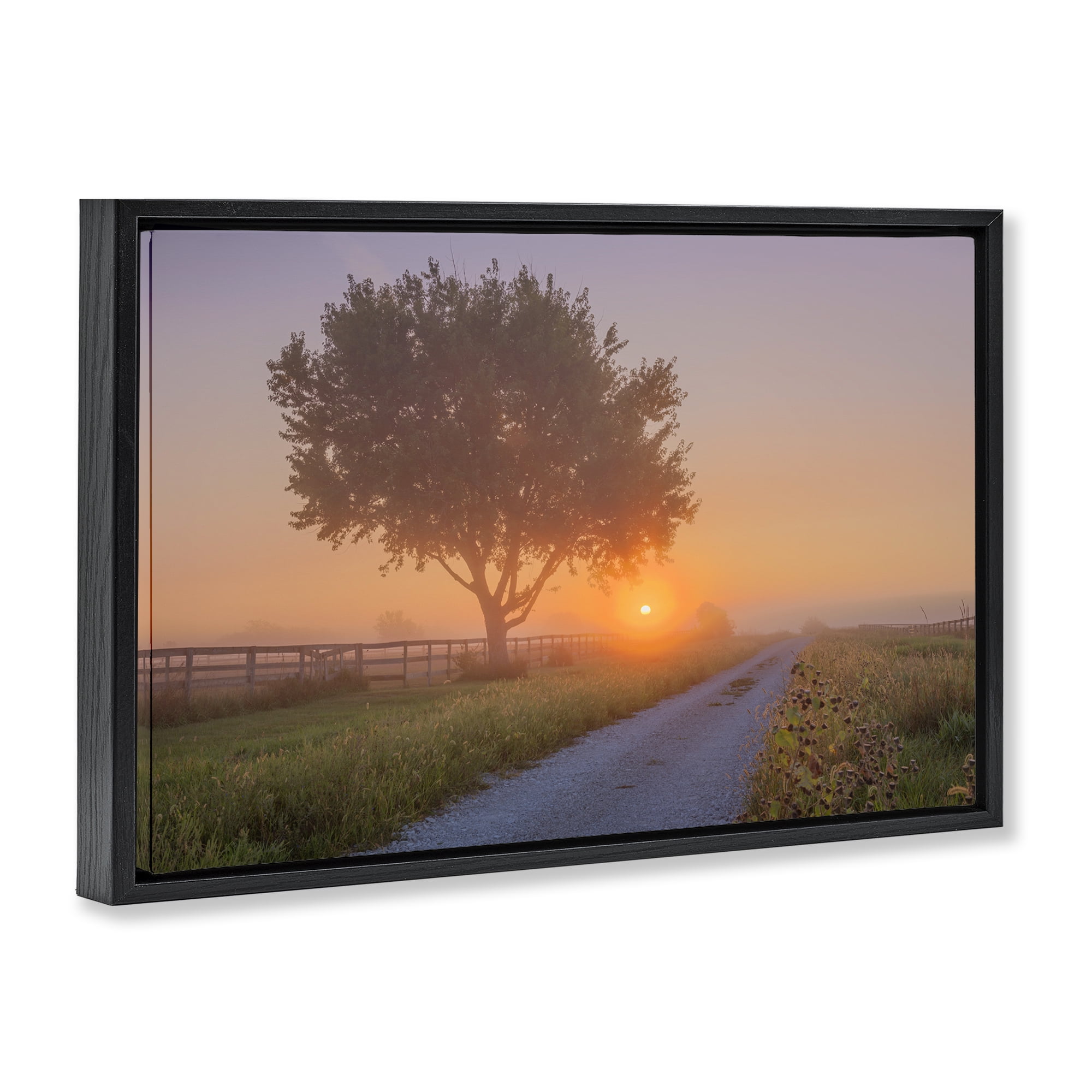 Stupell Industries Flower Lined Path Landscape & Nature Photography Black Floater Framed Canvas Art Print Wall Art, 25 x 17