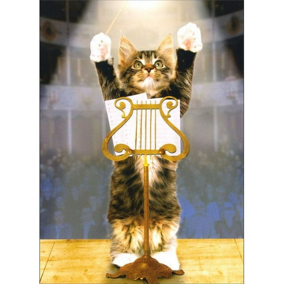 Avanti Press Kitty Konductor Cat Congratulations Card
