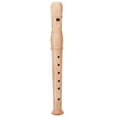 thumbnail image 1 of SHISUYAN Professional Clarinet Children Beginner Clarinet Wind Instrument Recorder, 1 of 8