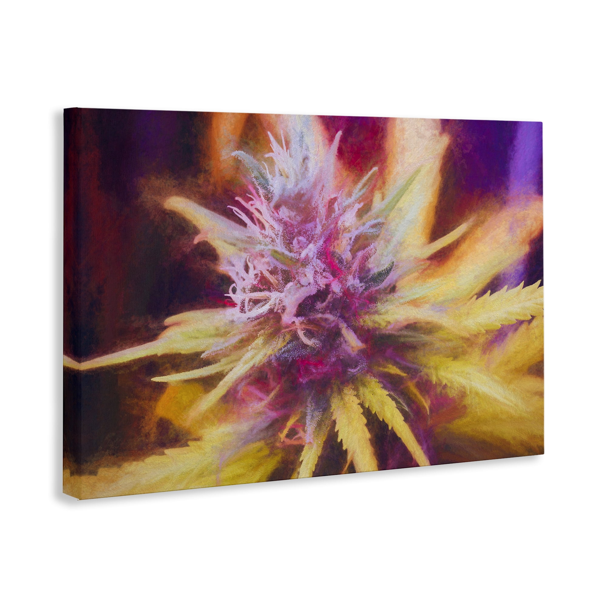 Stupell Industries Chalk Cannabis Flower Plants & Flowers Painting Wrapped Canvas Art Print Wall Art, 45 x 30