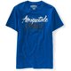 thumbnail image 1 of Camiseta gráfica Aeropostale Mens Destroyed Est. 1987 azul grande, 1 of 1