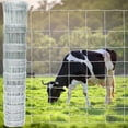 thumbnail image 5 of x Thicker Heavy-Duty Livestock Fence, -Zinc Galvanized Cattle Fence, Farm Wire Fencing for Hog, Goat, Deer &; Horse, 5 of 6