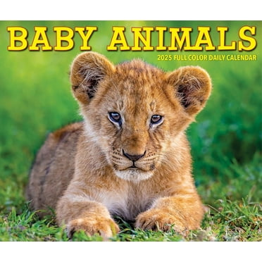 Baby Animals 2025 Box Calendar