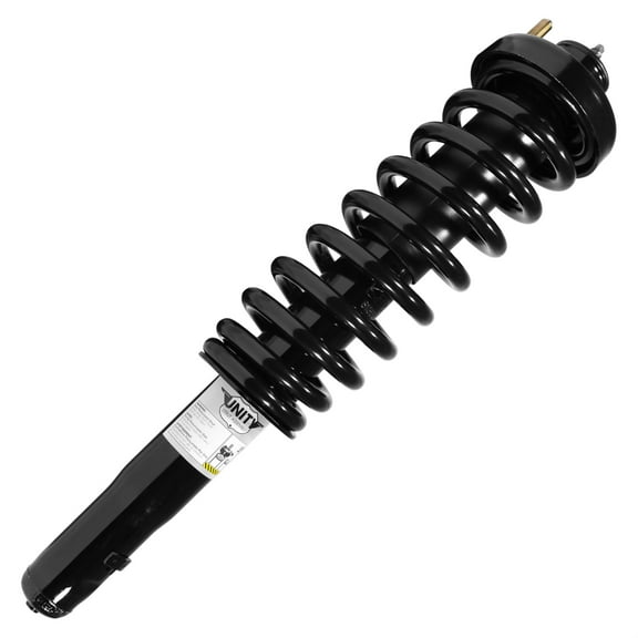 Suspension Strut and Coil Spring Assembly