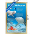 thumbnail image 3 of Disney Pixar Finding Dory - Group Wall Poster, 14.725" x 22.375", Framed, 3 of 3