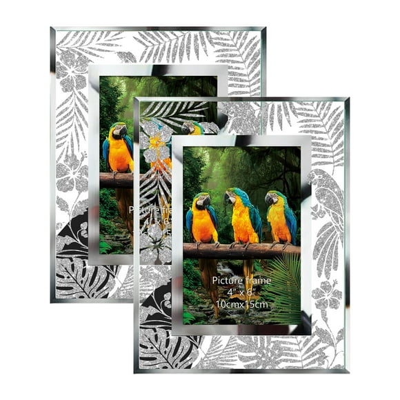 Glass Picture Frames