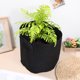 thumbnail image 4 of NUOLUX 12Ud Bolsas Para Plantas En Tela No Tejida Con Plegable Y Asas Para Cultivo En Interior Y Exterior, 4 of 5