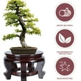 thumbnail image 2 of SHISUYAN Wood Display Base for Holding Use Dark Red Wood Stable and Versatile 7.5 Inches Diameter, 2 of 8