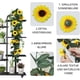 thumbnail image 4 of Guirnalda de girasoles artificiales de 3 piezas, guirnalda de flores de 2,3 m, 4 of 7