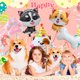 thumbnail image 2 of Set de decoración con globos para fiesta de cumpleaños de perros, 7 unidades, 2 of 6