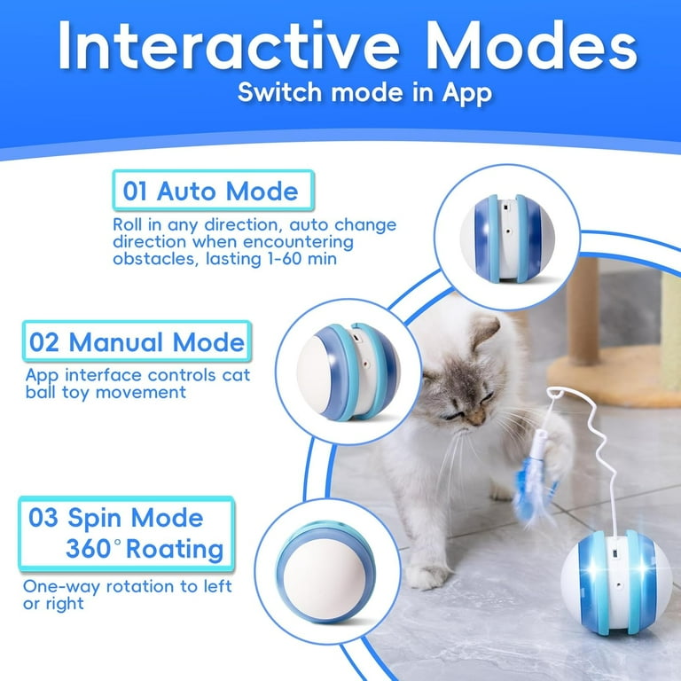 Cat toy app online