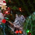 thumbnail image 3 of Pet Fur Ball Bell Doll Burlas Juguetes con Catnip Christmas Cat Peluches (Muñeca) JShteea Libre de BPA, 3 of 6