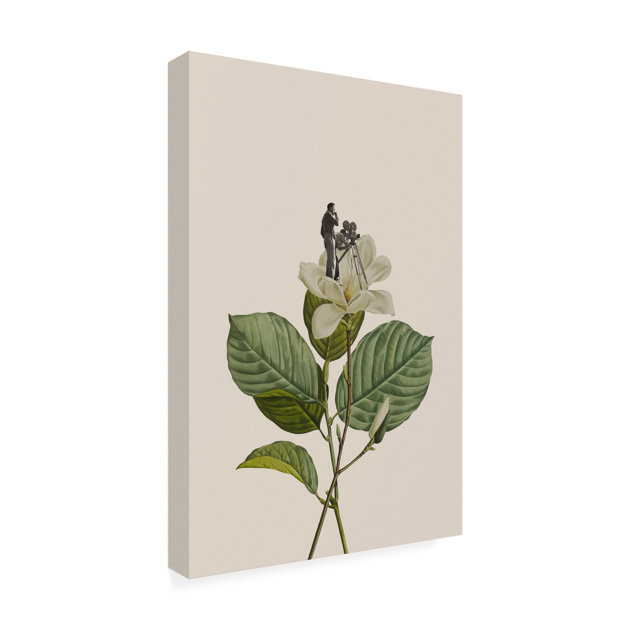 Trademark Fine Art Frida Floral Studio Botanical vintage cameraman Canvas Wall Art