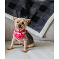 thumbnail image 4 of LazyOne Reversible Dog Bandana, Cute Accessories for Pets, Moose, Bear, Winter (Medium/Large, Nordic Dog), 4 of 7