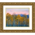 thumbnail image 1 of Fan, John 32x26 Gold Ornate Wood Framed with Double Matting Museum Art Print Titled - Autumn Delight, 1 of 4
