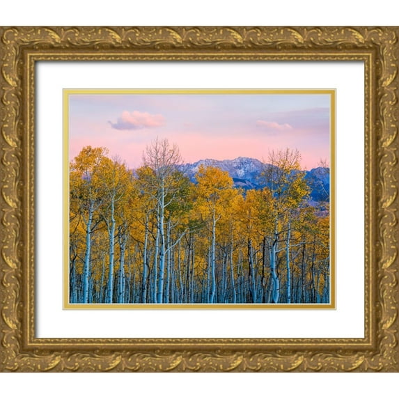 Fan, John 32x26 Gold Ornate Wood Framed with Double Matting Museum Art Print Titled - Autumn Delight
