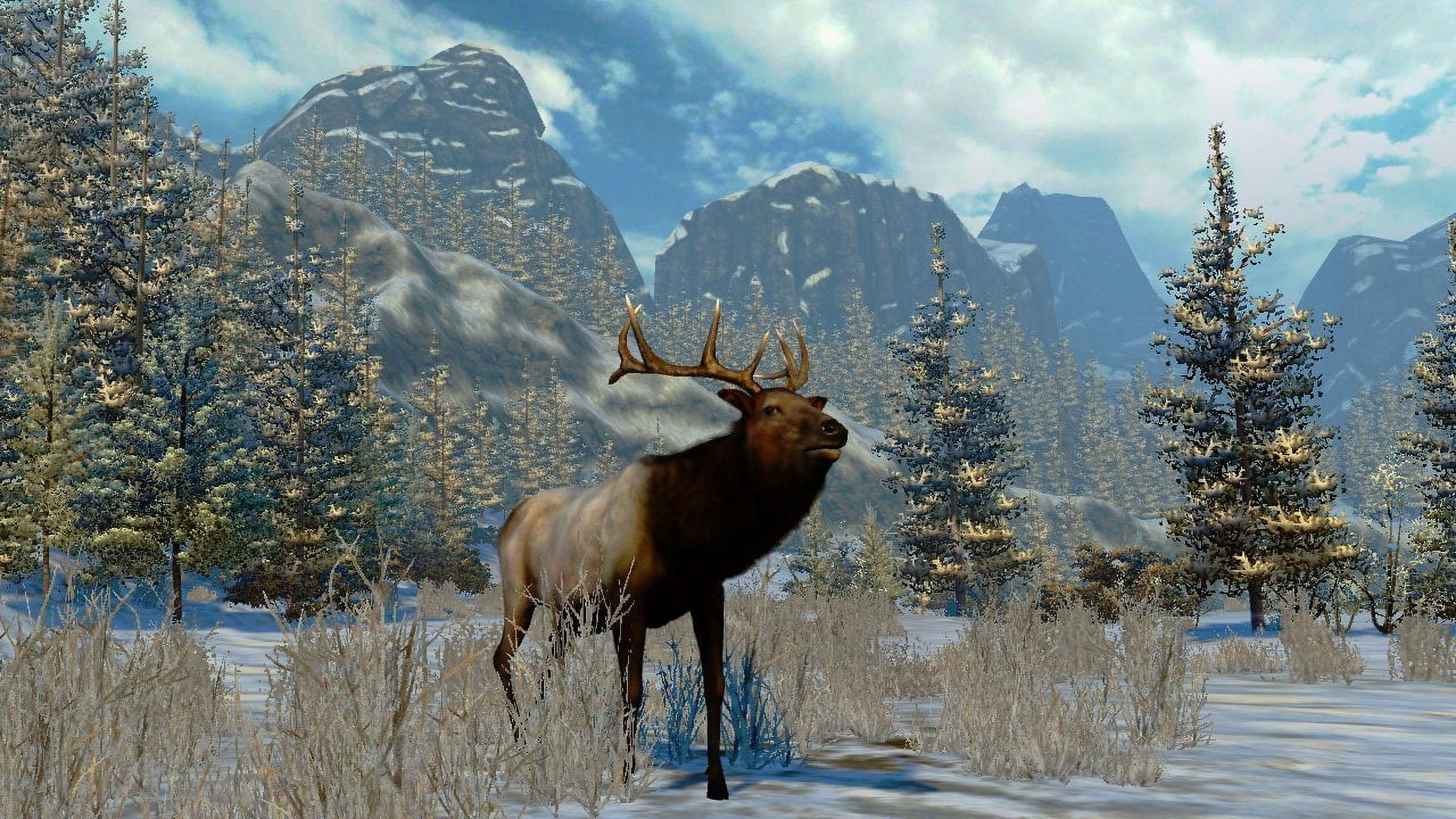 Activision, Cabela's North American Adventures 2011 - Walmart.com