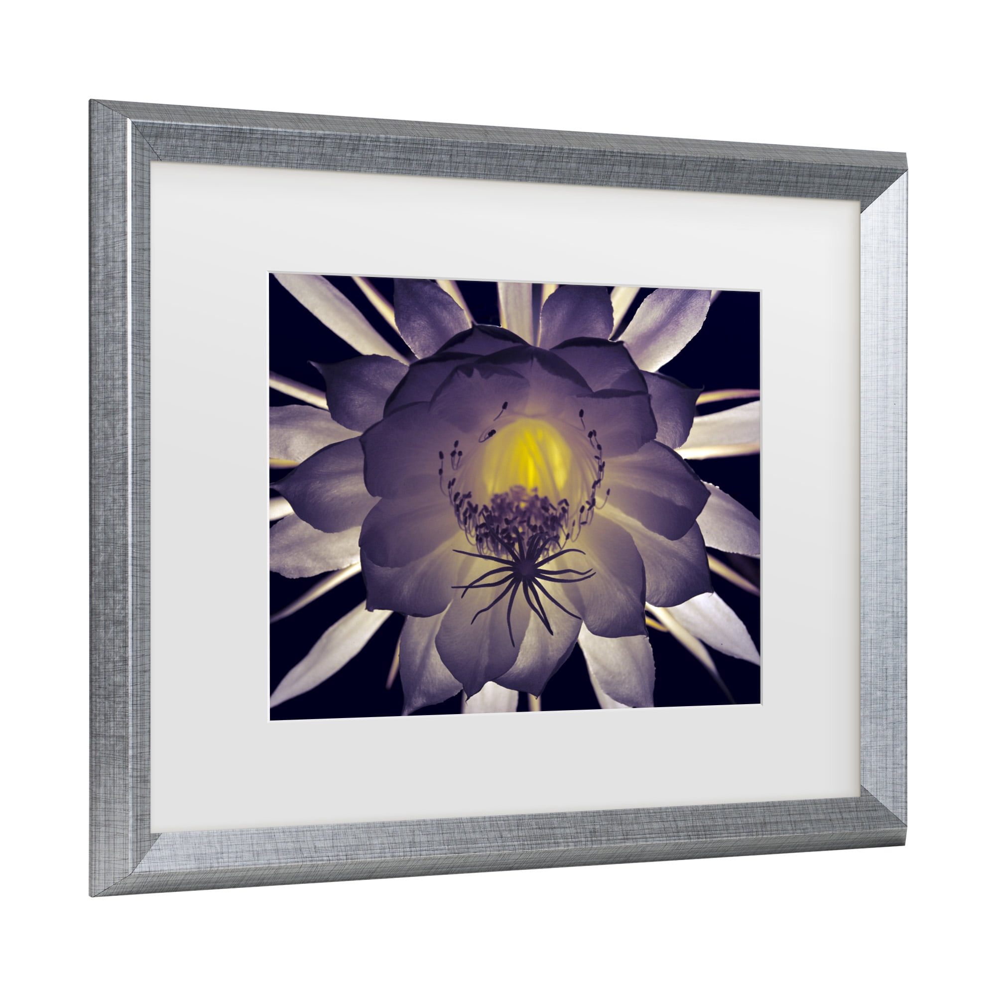 Trademark Fine Art 'Night Angel' Canvas Art by Kurt Shaffer