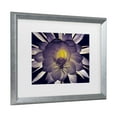 thumbnail image 2 of Trademark Fine Art 'Night Angel' Canvas Art by Kurt Shaffer, 2 of 4