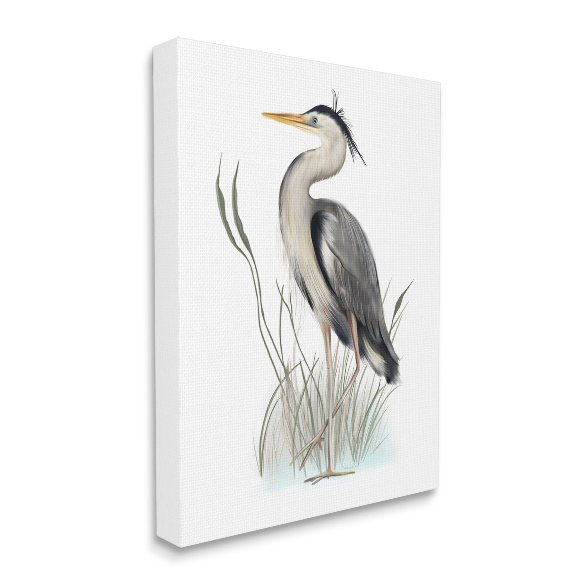 Stupell Industries Peaceful Heron Bird Standing Amidst Wild Grass Graphic Art Gallery Wrapped Canvas Print Wall Art, Design by Studio Q