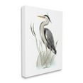 thumbnail image 3 of Stupell Industries Peaceful Heron Bird Standing Amidst Wild Grass Graphic Art Gallery Wrapped Canvas Print Wall Art, Design by Studio Q, 3 of 5