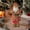 C, variant on Christmas Decor,Christmas Decorations Indoor,Christmas Tabletop Decor,Christmas Standing Santa Claus Figurine Hand Crafted Red Coat Santa Figure Doll for Home Office Table(D 12IN)