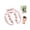 Pink, variant on 9-Wheel Fascia Muscle Roller, Cellulite Roller,Arm & Leg Massager, Cellulite Massage Roller, Trigger Point Muscle Relax Massager Tool for Relieve Leg Neck Hand Arm Muscle Soreness Stiffness