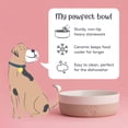 thumbnail image 4 of Mason Cash: Heart Paw Pet Bowl - 7", 32oz - Cream & Tan - Durable Ceramic Food-Water Dish, Microwave-Dishwasher Safe, Dog & Cat Meal Feeding-Hydration, 4 of 10