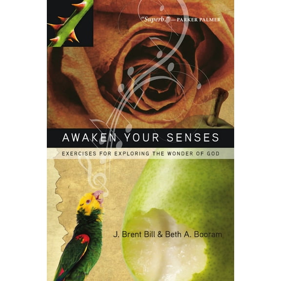 Awaken Your Senses: Exercises for Exploring the Wonder of God, (Paperback)