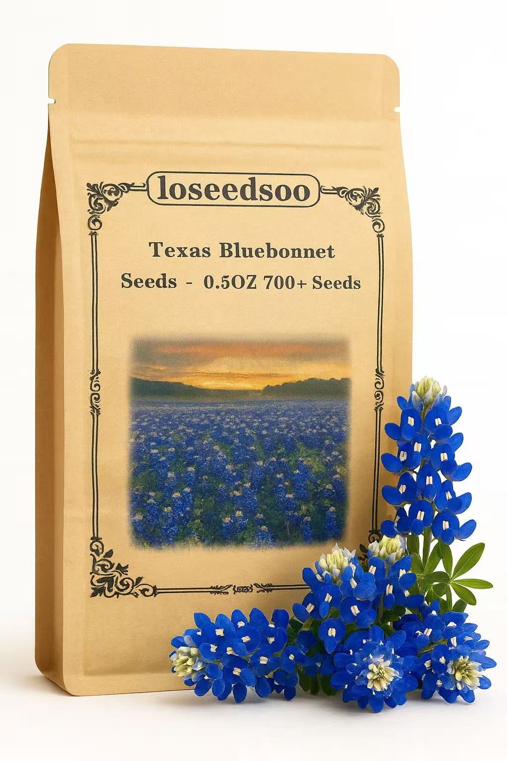 giant sunflower seeds for planting Heirloom Non-GMO Sunzilla Sunflower Seeds – Neeraseeds