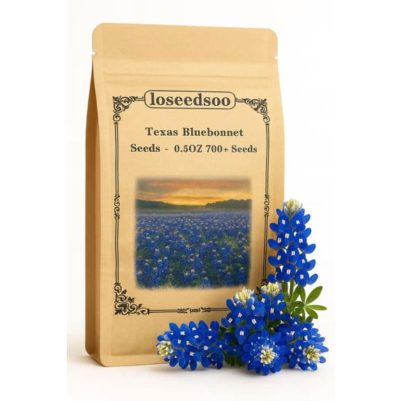 Texas Bluebonnet Seeds by LOSEEDSOO – 0.5oz Pack with 700 Seeds – Easy to Grow Annual Wildflower – Heat & Drought Tolerant – Native to Texas Prairies – Vibrant Blue Spring Blooms