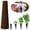 Brown, variant on 1 Pc Grow Sponges, Seed Pods Replacement Root Growth Sponges, Seedling Starter Sponges Refill, Grow Sponge for Hydroponic, Planting Pods, Promotes Herbs, Vegetables and Flowers Growth