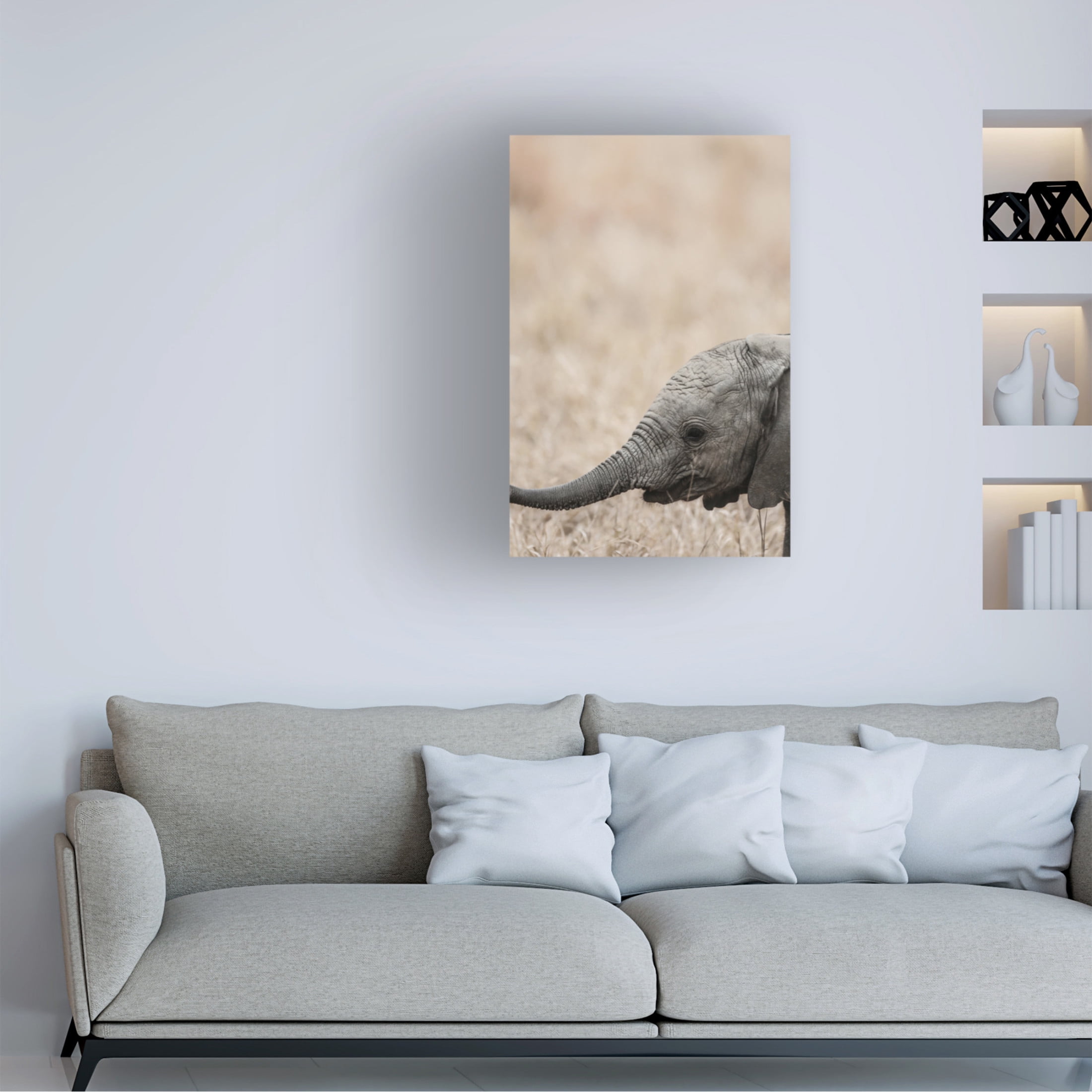 Trademark Fine Art Shot by Clint Jellybaby Canvas Wall Art