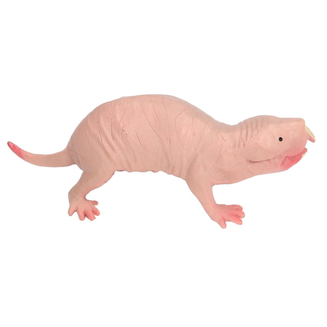 Modelo de topo de plástico, estatuilla de topo de plástico, juguete, estatuilla de topo de plástico, decoración del hogar de animales, funcionalidad de alta precisión