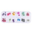 thumbnail image 1 of 12 couleurs de fleurs séchées naturelles pour nail art en acrylique, gel UV, décoration d'ongles, étui de conception, DIY, 1 of 4