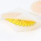 thumbnail image 2 of 3/5/6 piezas Fly Catcher Trampa para insectos no tóxicos Uso en interiores y exteriores (3 piezas) Likrtyny Para estrenar, 2 of 3