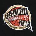 thumbnail image 7 of Men's Vince Carter Black Toronto Raptors NBA Hall of Fame 2024 Fleece Pullover Hoodie, 7 of 7