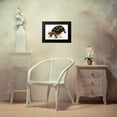 thumbnail image 4 of Sowerby, James 18x13 Black Modern Framed Museum Art Print Titled - Tortoise, Carbonaria, 4 of 5