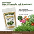 thumbnail image 3 of Old Cobblers Farm™ Wicked Organics Soy Bean Meal - Slow-Release Plant Nutrition for Strong Growth & Healthier Soil – (5 lbs | 10 lbs | 15 lbs | 20 lbs)(10lbs), 3 of 13