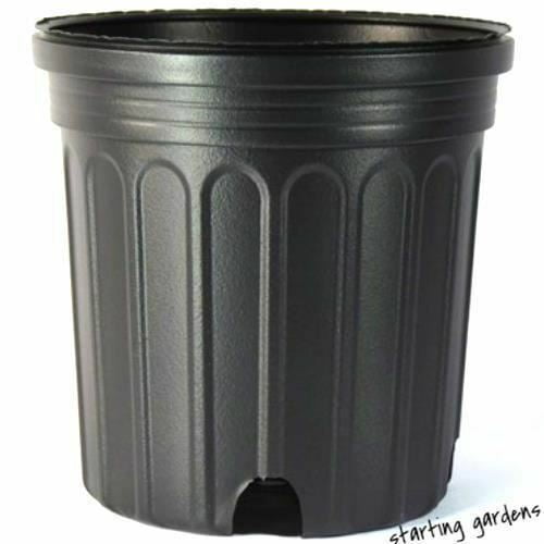 TRADE 2 GALLON Details about   Set of 25-1.5 gallon Black Plastic Nursery Pots flower 