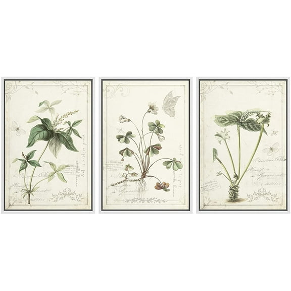 wall26 Framed Canvas Print Wall Art Set Victorian Style Jungle Plants with Butterfly Nature Floral Illustrations Realism Rustic Scenic Wilderness for Living Room, Bedroom, Office - 24"x36"x