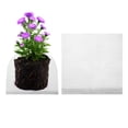 thumbnail image 1 of Uxcell 2 Pack 3 Galones Protector de Raíces de Plantas 14x14" Guardias de Raíces de Acero Inoxidable, 1 of 7