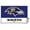 Premium Poster & Push Pin Bundle, variant on NFL Baltimore Ravens - Logo 21 Wall Poster, 22.375" x 34"
