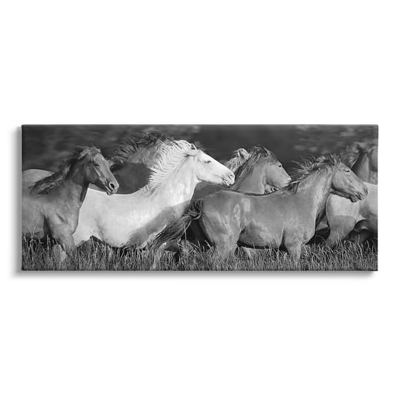 Stupell Industries Horse Herd Galloping Animals & Insects Photography Gallery Wrapped Canvas Art Print Wall Art, 24 x 10