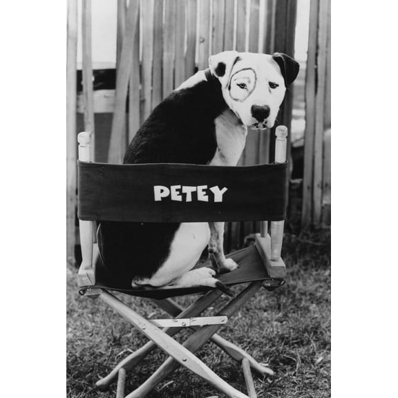 The Little Rascals Petey the Dog 24x36 Poster