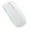 White, variant on Bluetooth 5.0 & 2.4G Wireless Charging Silent Mouse RGB Light Ergonomic Multi DPI Laptop Desktop Office Mouse