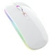 thumbnail image 1 of Amzcrzy Electrónica para hombres Organizador de electrónica Cámara digital Ratón inalámbrico Bluetooth con carga inalámbrica y silencio para portátil. 4G+Bt5. Ratón inalámbrico. Accesorios para juego, 1 of 1