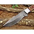 thumbnail image 5 of 11" Long hand forged Damascus steel full tang blade skinning Knife, 2 tone brown Dollar wood with Brass bolster scale, Cow Leather sheath, 5 of 7