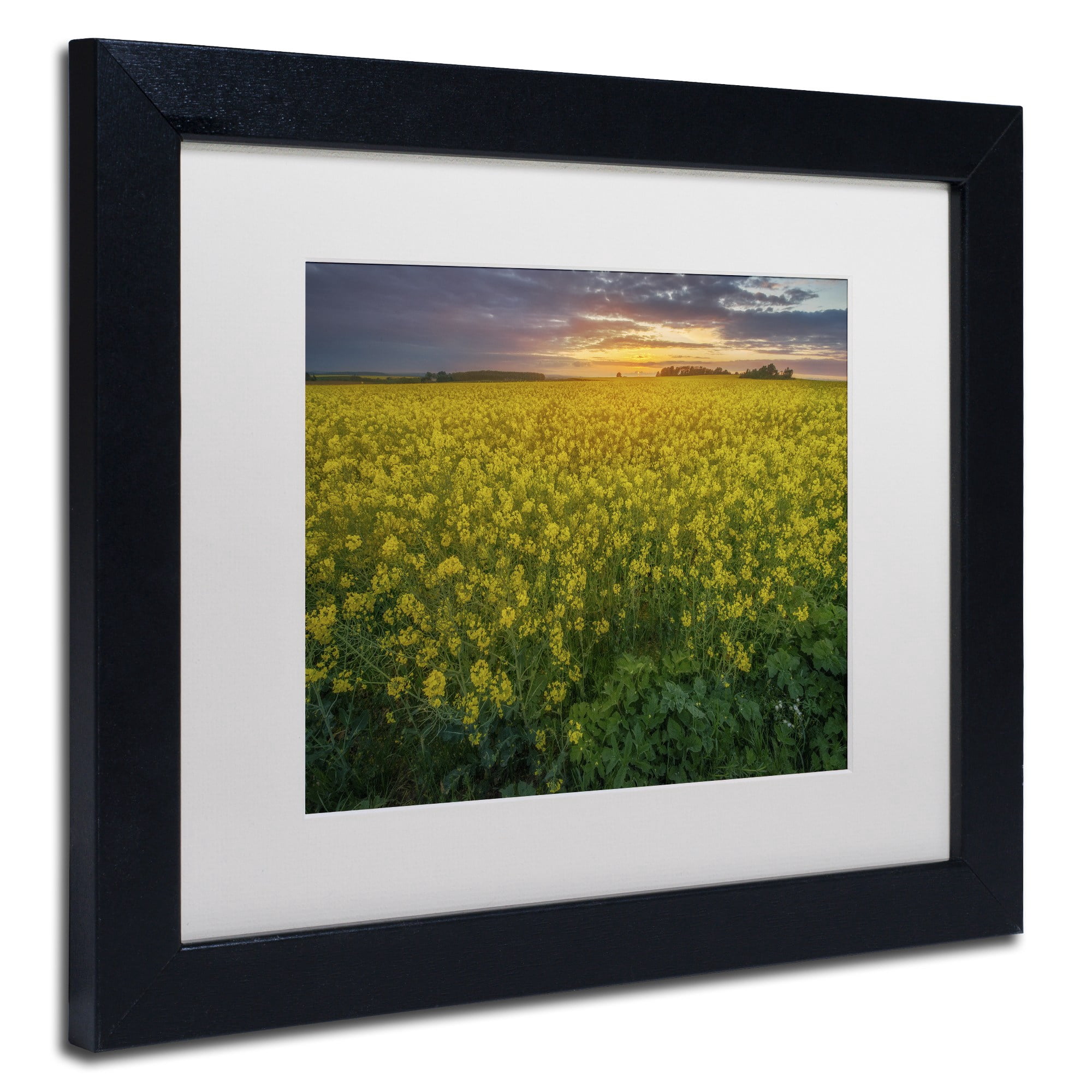 Trademark Fine Art "Yellow Planet" Canvas Art by Mathieu Rivrin, White Matte, Black Frame